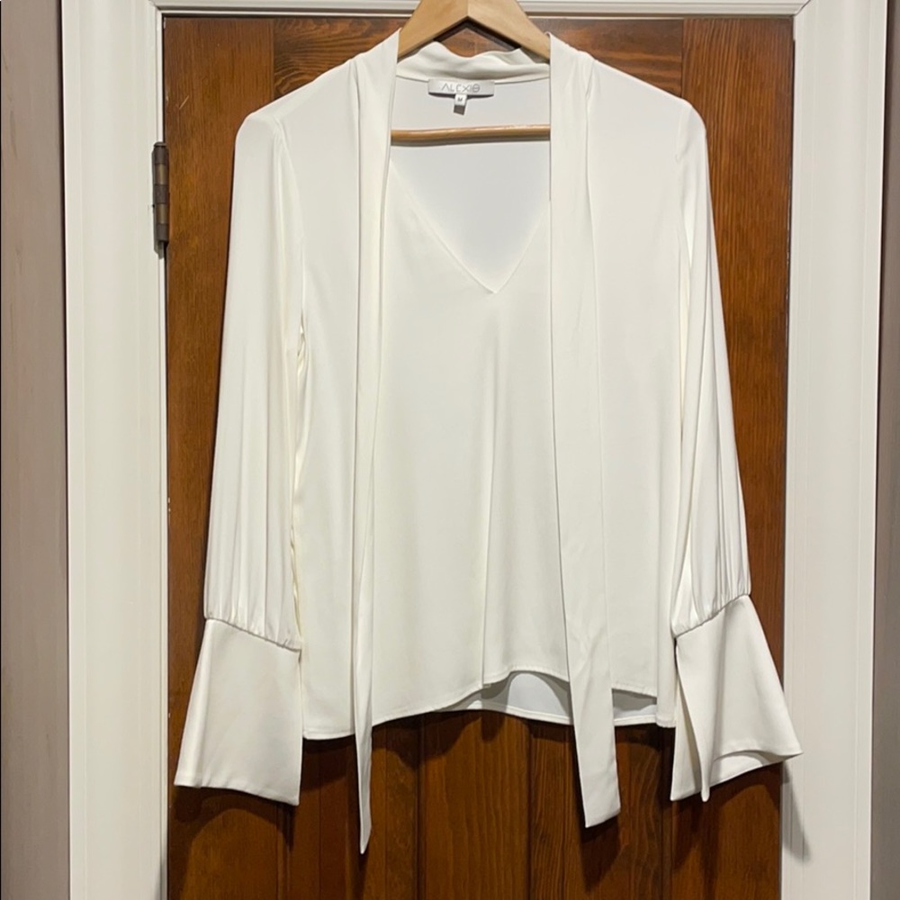 Alexis cream deep V blouse